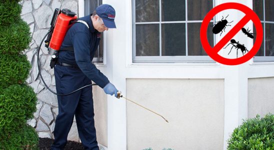 Gülağaç Kemirgen İlaçlama böcek ilaçlama ve haşere kontrolü — ilaclama-tr.com